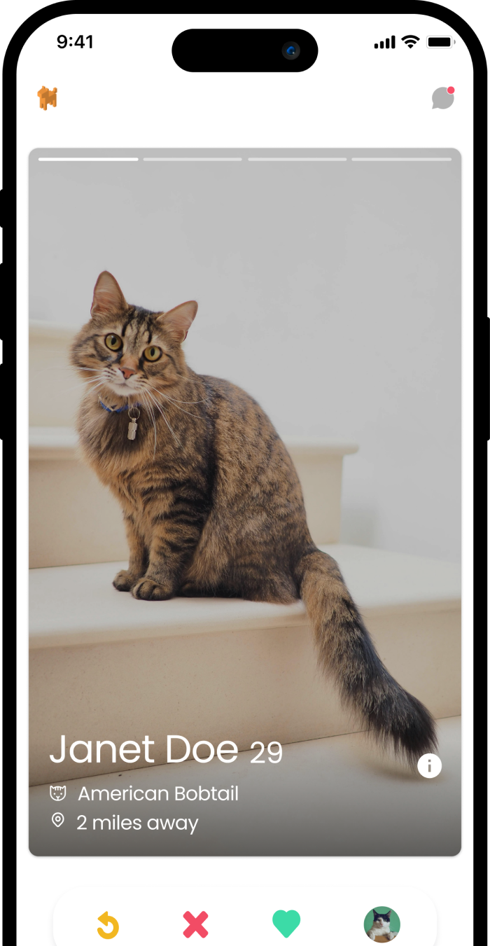 TinCat Interface